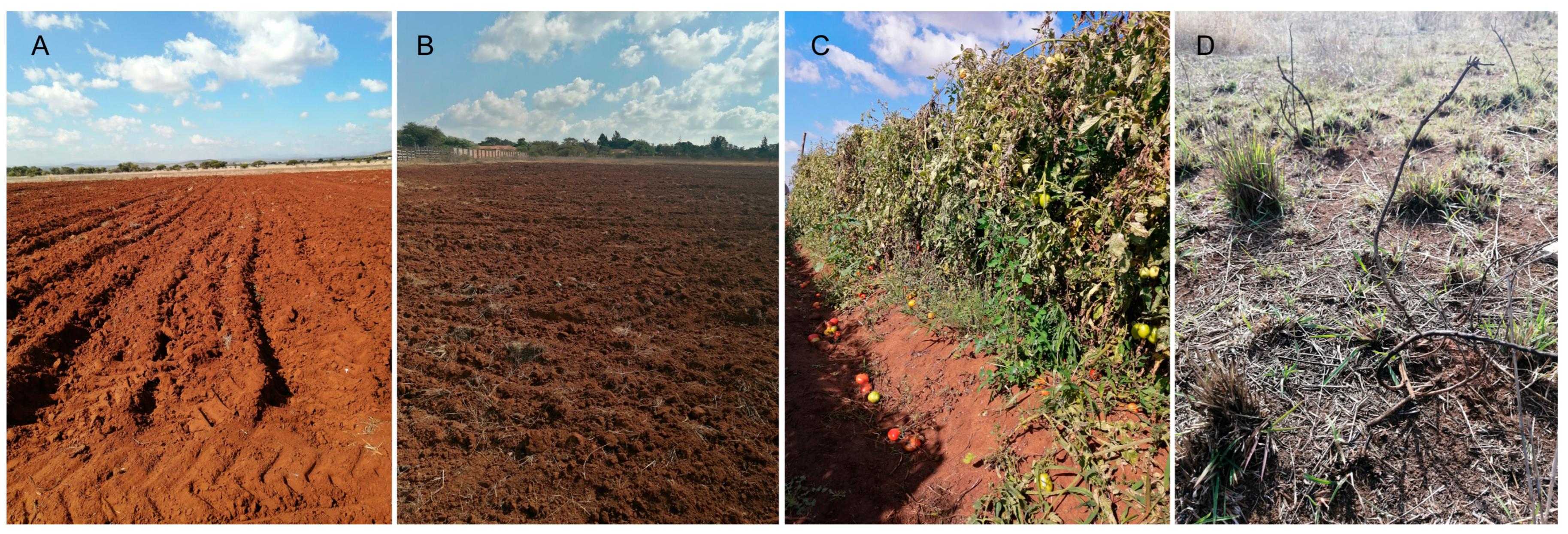 Horticulturae | Free Full-Text | Impact of Agricultural Land Use ...