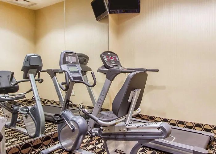 Best Pet Friendly Hotels in Downtown Greenville SC
