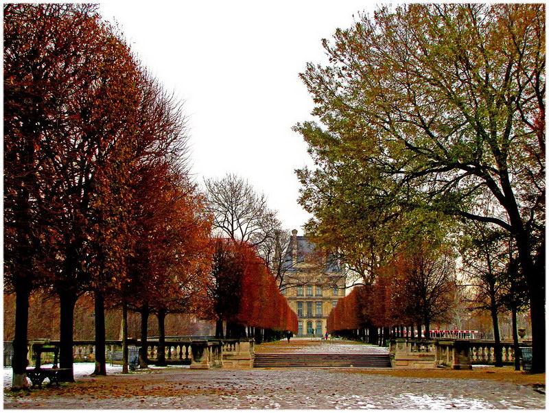 Le jardin des Tuileries