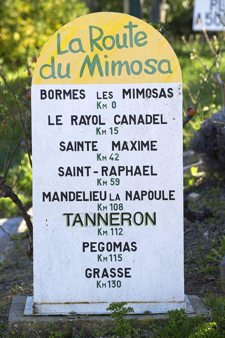 Route du Mimosa Côte d'Azur